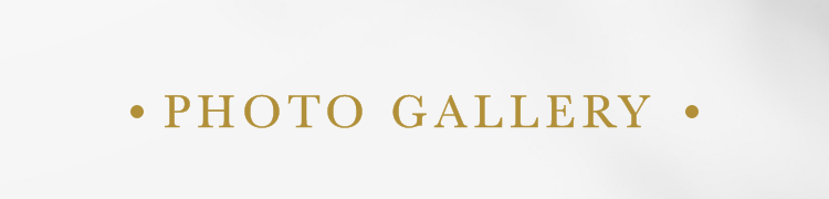 フォトギャラリー