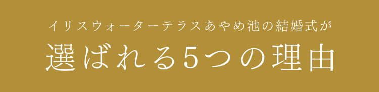選ばれる5つの理由